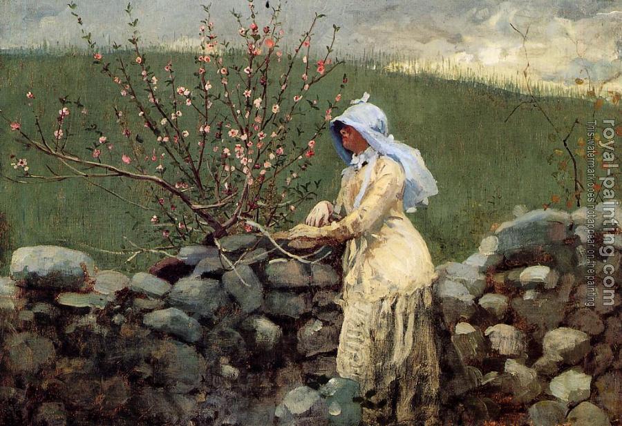 Winslow Homer : Peach Blossoms II